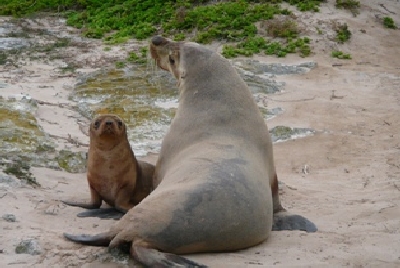 Australien Golfreisen und Golfurlaub